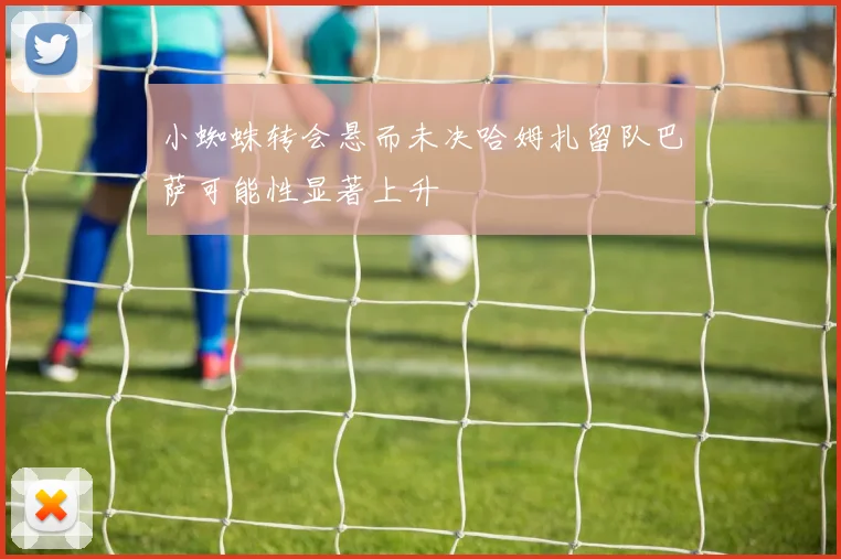 小蜘蛛转会悬而未决哈姆扎留队巴萨可能性显著上升